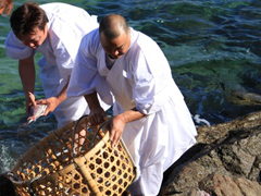 冬の海で鯛を加工する木下さん 冬の海で鯛を加工する木下さん