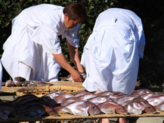 漁業組合の若者たちも加工に参加している 漁業組合の若者たちも加工に参加している