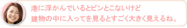 【かな】港に浮かんでいるとピンとこないけど建物の中に入ってを見るとすごく大きく見えるね。