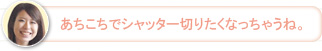 【さち】あちこちでシャッター切りたくなっちゃうね。