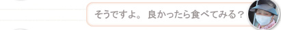 【島の人】そうですよ。良かったら食べてみる？