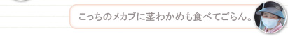 【島の人】こっちのメカブに茎わかめも食べてごらん。