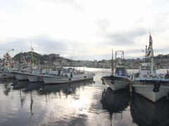 港には多くの漁船が停泊している