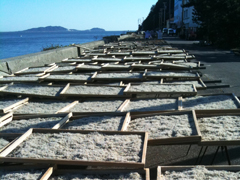 4月～11月の間ではしらすを天日干ししている風景が見られる